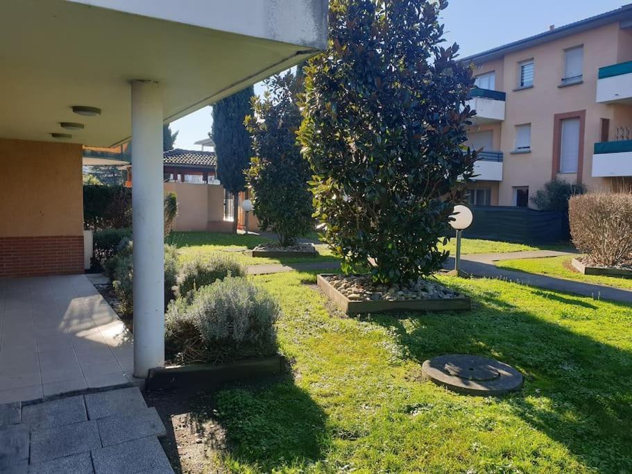 Apartment Mon Havre De Paix Toulousain Idealement Situe Toulouse