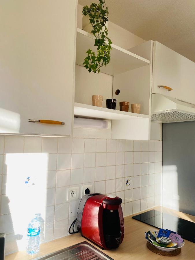 Apartment Mon Havre De Paix Toulousain Idealement Situe Toulouse